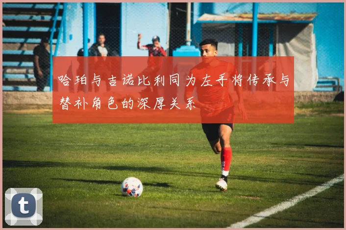 哈珀与吉诺比利同为左手将传承与替补角色的深厚关系