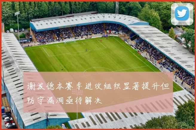 谢泼德本赛季进攻组织显著提升但防守漏洞亟待解决
